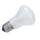 Lámpara 100 W. / 196v  E27