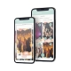 App Risas 360 para plataformas 360º